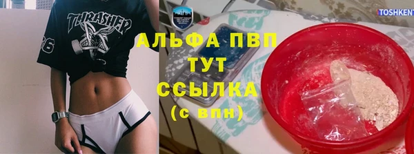 спиды Ладушкин