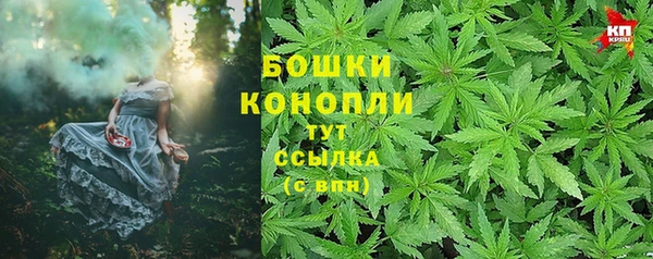 apvp Лагань