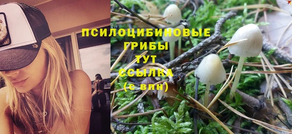 mdpv Лабытнанги