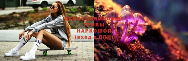 спиды Ладушкин