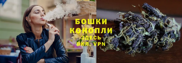 спиды Ладушкин