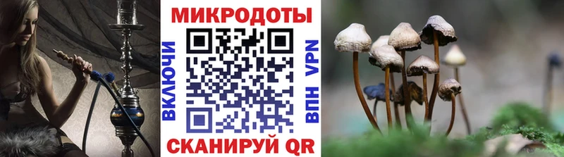 Псилоцибиновые грибы Psilocybine cubensis  Купить  Рошаль 